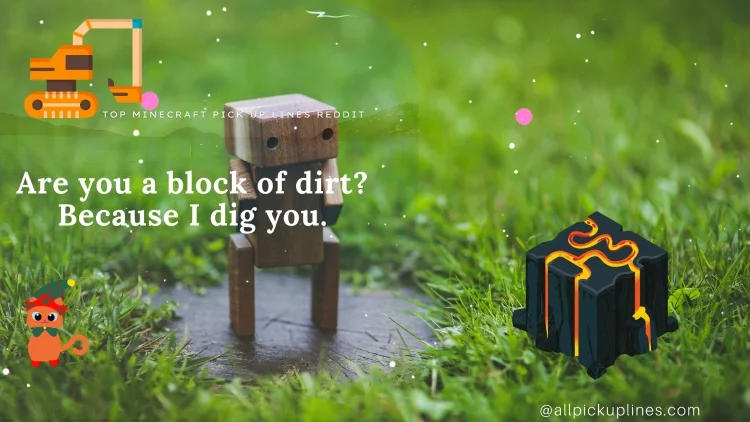 Images for Minecraft Pickup Lines 