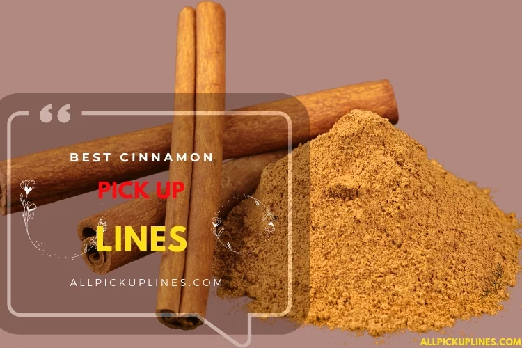 Best Cinnamon Pick Up Lines