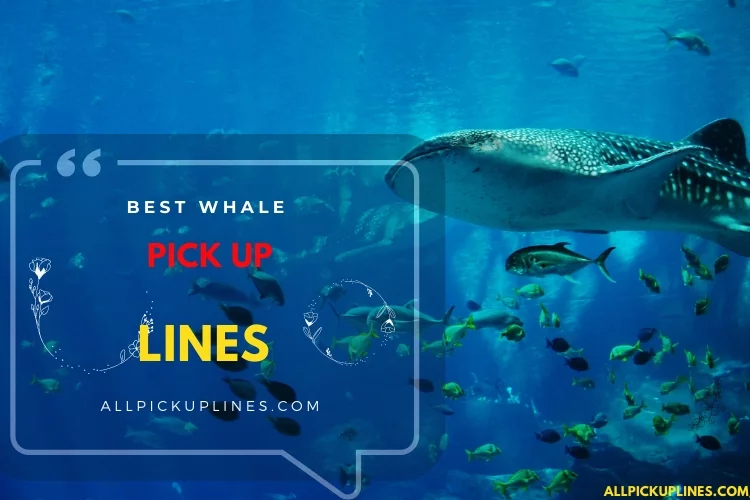 Best Whale Pick Up Lines