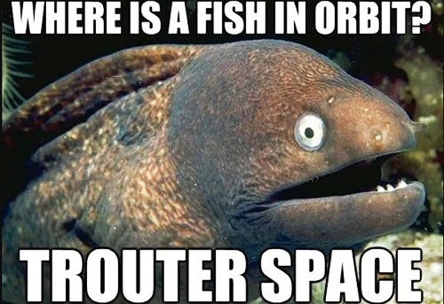 [Top 30] Catchy Fish Puns That Will Hook You