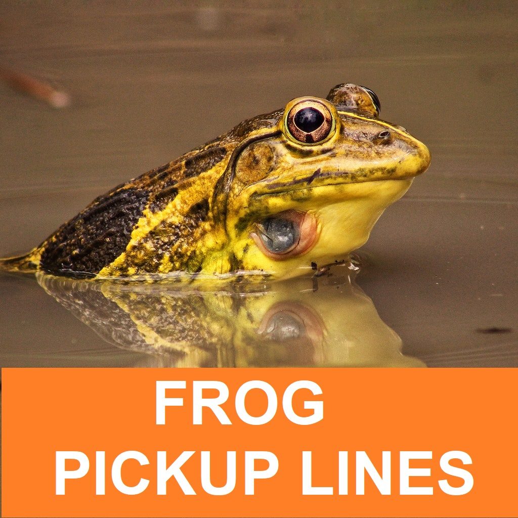 [Top 50] Toad Frog Pick Up Lines! 2