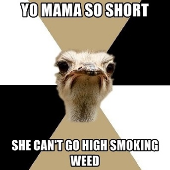 [Top 20] Yo Mama So Short Jokes