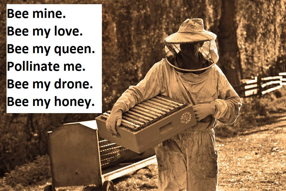 [Top 80+] Honey Bee Pick Up Lines That Are Un-BEE-lievably BEE-utiful! 2