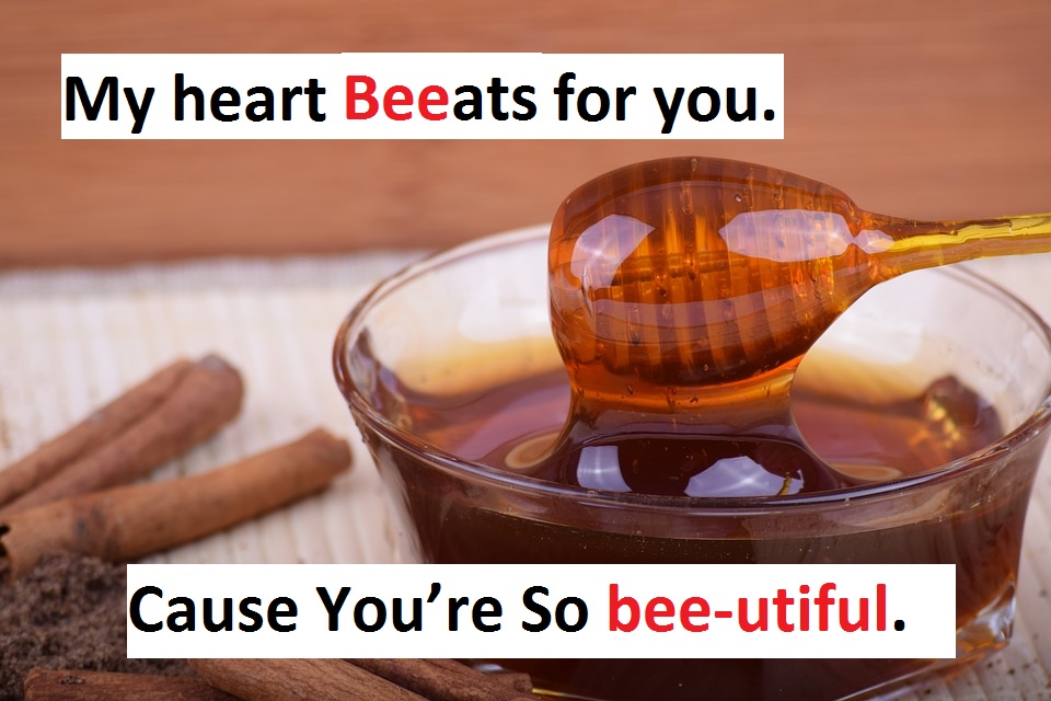 [Top 80+] Honey Bee Pick Up Lines That Are Un-BEE-lievably BEE-utiful! 3