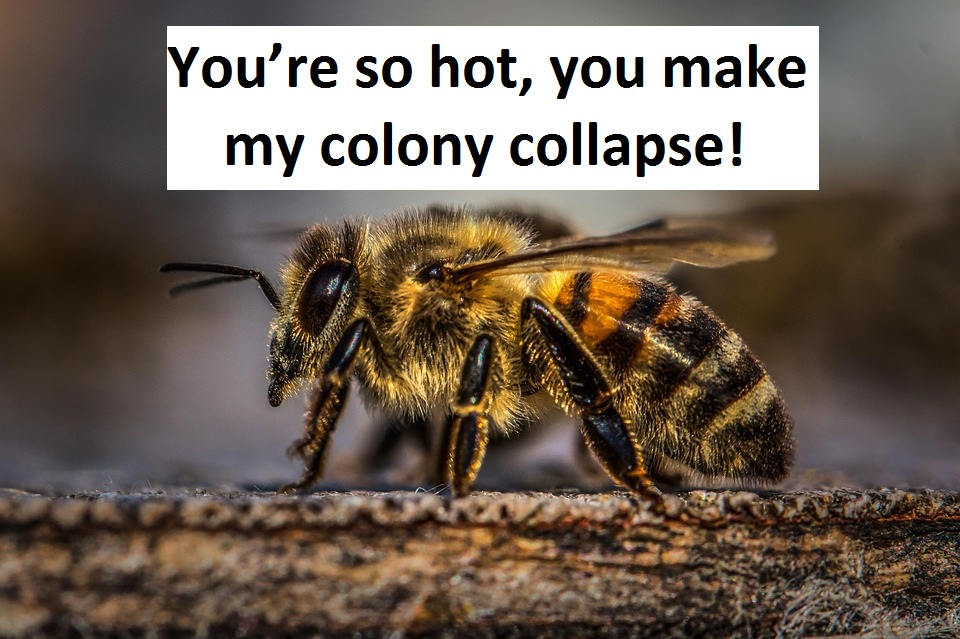 [Top 80+] Honey Bee Pick Up Lines That Are Un-BEE-lievably BEE-utiful! 4