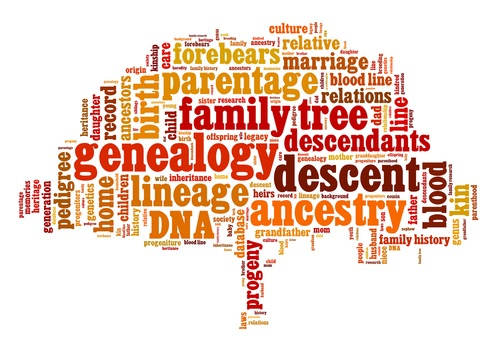 [TOP 20] Genealogy – Family Tree Pick Up Lines