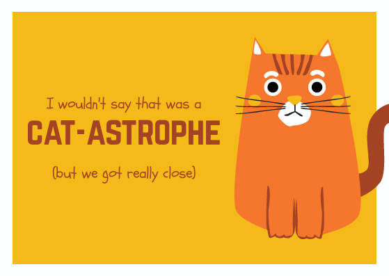 Top 30 Really Funny Cat Puns For Every Occasion All Pick Up Lines