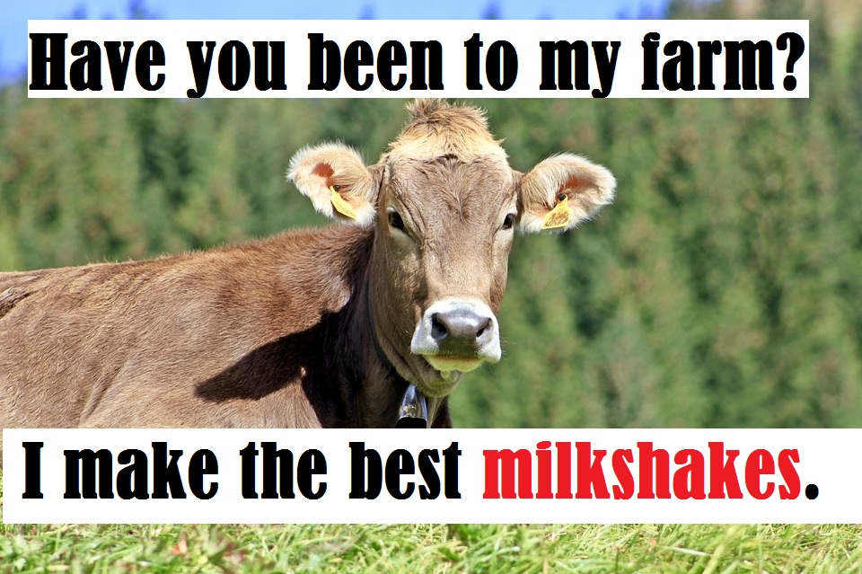 Cow Bull Milk Farm Related Pick Up Lines