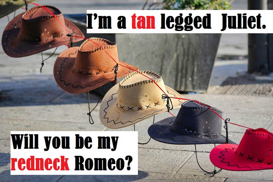 Cowboy Cowgirl Southern Pick Up Lines