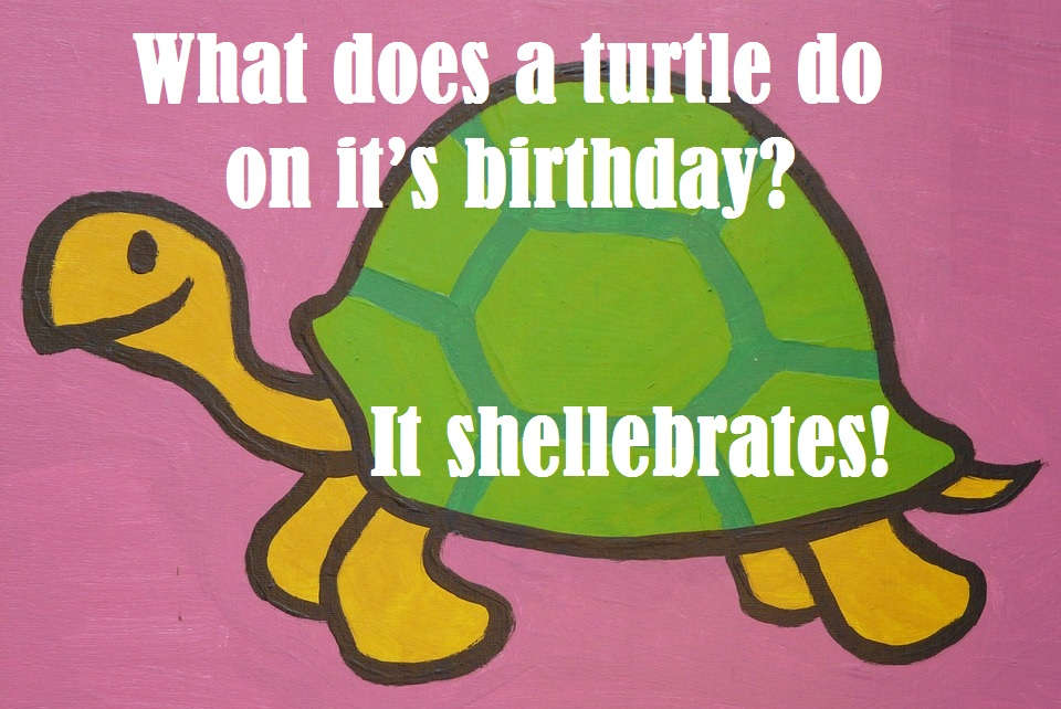 Turtle One Liners And Pick Up Lines