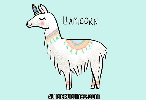 [Top 80+] Llama Alpaca Pick Up Lines,Puns,Jokes To Use On Hilly People! 8